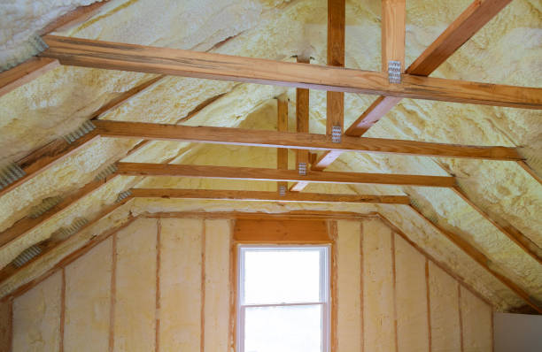  Verona Walk, FL Insulation Contractor Pros