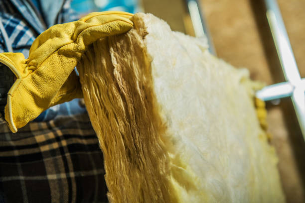 Best Specialty Insulation in Verona Walk, FL